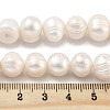 Natural Cultured Freshwater Pearl Beads Strands PEAR-C003-20B-5