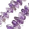 Natural Amethyst Beads Strands G-C179-D01-02-1