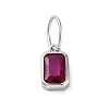 925 Sterling Silver Cubic Zirconia Charms STER-NH0014-01P-07-1