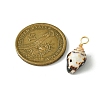 Spiral Shell Pendants PALLOY-JF02492-02-4