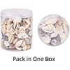 Mixed Natural Shell Bead Sets BSHE-PH0003-03-8