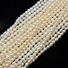 Natural Cultured Freshwater Pearl Beads Strands X-PEAR-L001-D-03-1