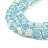 Baking Painted Glass Beads Strands DGLA-D001-05E-3