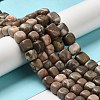 Natural Mixed Stone Beads Strands G-A247-07-5