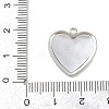 304 Stainless Steel Pendants STAS-C154-05A-P-3