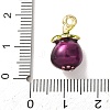 Alloy Enamel Pendants AL-CBA24A7-01G-03-3