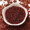 Spray Painted Glass Seed Beads SEED-F005-05A-05-2