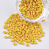 8/0 Grade A Round Glass Seed Beads SEED-S030-425-1