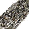 Natural Labradorite Beads Strands G-Q060-D02-2