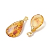 Natural Amber Pendants PALLOY-JF05260-01-3
