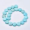 Natural Magnesite Beads Strands TURQ-K003-16-2