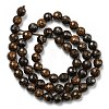 Natural Bronzite Beads Strands G-E571-42A-3