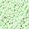Baking Paint Glass Seed Beads X1-SEED-B001-02A-11-3