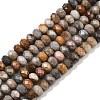 Natural Gobi Agate Beads Strands G-F668-25-B-1