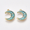 Brass Enamel Charms KK-T038-531G-1