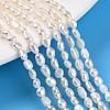 Natural Cultured Freshwater Pearl Beads Strands PEAR-N014-03F-2