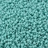 MIYUKI Delica Beads SEED-MY11-DB1136-1