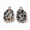 Natural Dalmatian Jasper Pendants G-N326-41H-2