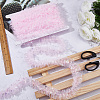10M Polyester Organza Ribbons SRIB-GF0001-65A-4
