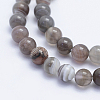 Round Natural Botswana Agate Bead Strands G-I166-02-6mm-3