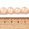 Natural Cultured Freshwater Pearl Beads Strands PEAR-I007-07S-02-5