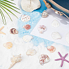 40Pcs Natural Scallop Shell Beads SSHEL-SP0001-02-4