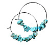 Alloy Hoop Earrings WGA158A-04-2