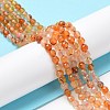 Natural Agate Beads Strands G-Q1000-02F-4