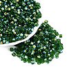 FGB Transparent Colours Glass Seed Beads SEED-Q040-07A-B07-1
