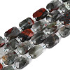Natural Africa Bloodstone Beads Strands G-T139-87-4