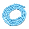 Opaque Glass Beads Strands GLAA-Z018-D20-2