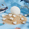 10Pcs Mini Natural Spiral Shell Beads FIND-WR0012-36-4