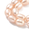 Natural Cultured Freshwater Pearl Beads Strands PEAR-P062-10G-4
