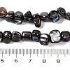 Natural Freshwater Shell Beads Strands BSHE-S304-06-4