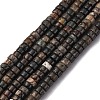 Natural Biotite Beads Strands G-L624-I12-2x4mm-2