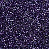 MIYUKI Delica Beads SEED-X0054-DB1756-3
