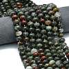 Natural African Bloodstone Beads Strands G-P573-B13-01-1