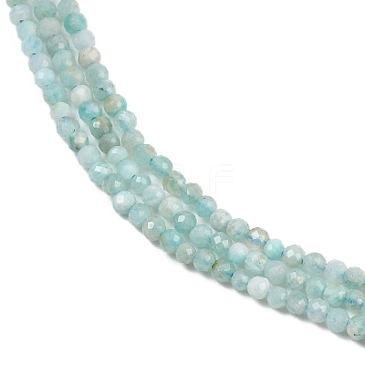 Natural Amazonite Bead Strands X-G-P279-42-2mm-01-1