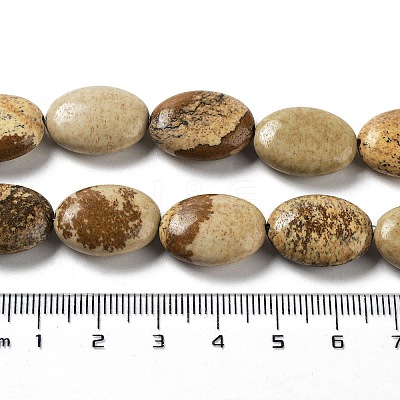 Natural Picture Jasper Beads Strands G-L164-A-28-1