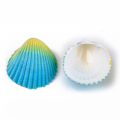 Spray Paint Natural Ark Shell Beads SSHEL-S261-03B-1