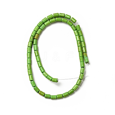 Synthetic Turquoise Beads Strands TURQ-G120-4x6mm-08-1