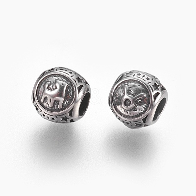 316 Surgical Stainless Steel European Beads STAS-P212-18P-04-1