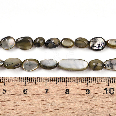 Natural White Shell Beads Strands SHEL-N036-21-1