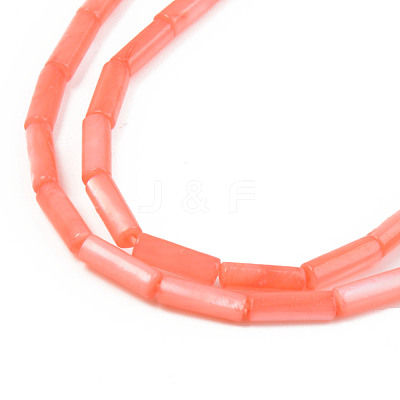 Natural Freshwater Shell Beads Strand SHEL-T017-40C-1