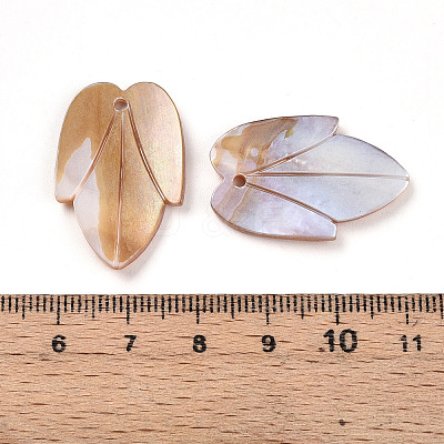 Natural Freshwater Shell Carved Pendants SHEL-N036-19-1