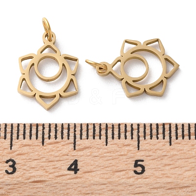 Ion Plating(IP) 304 Stainless Steel Charms STAS-Q333-23G-1