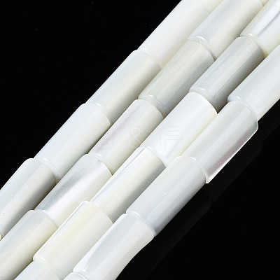 Natural Trochid Shell/Trochus Shell Beads Strands X-SSHEL-S266-020A-02-1