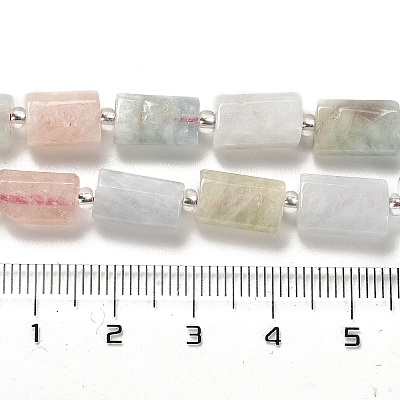 Natural Morganite Beads Strands G-N327-06-03-1