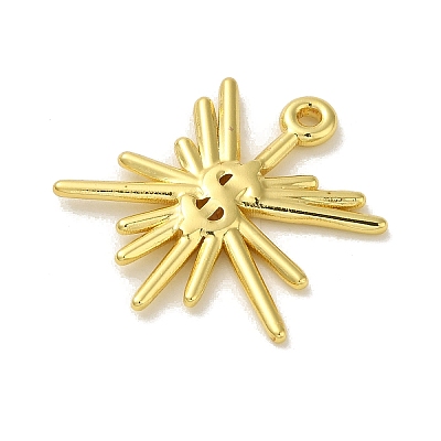 304 Stainless Steel Pendants STAS-Q322-06G-1