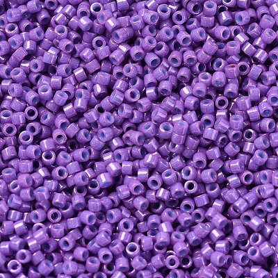 MIYUKI Delica Beads X-SEED-J020-DB0660-1